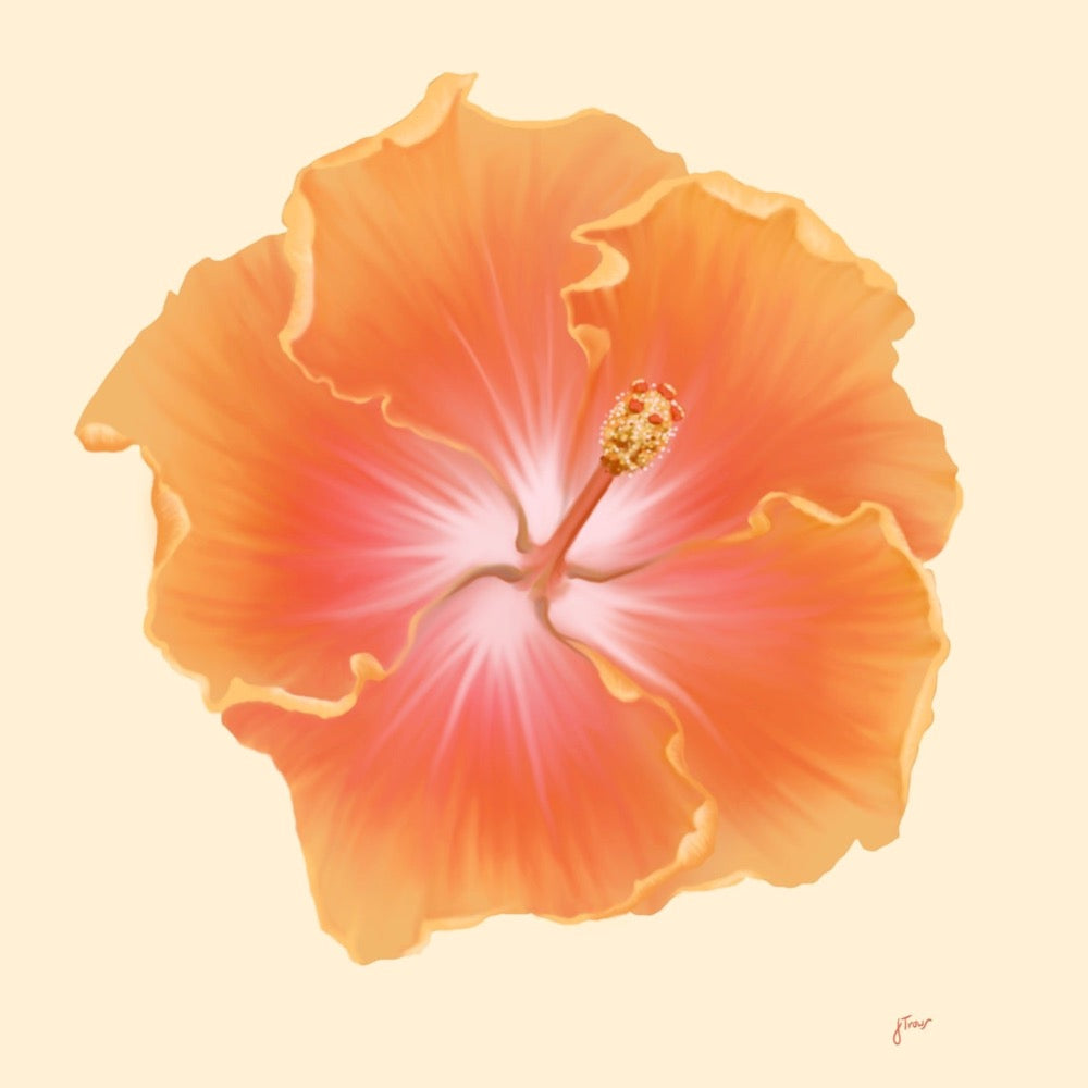 ‘Sunrise Hibiscus’ Art Print
