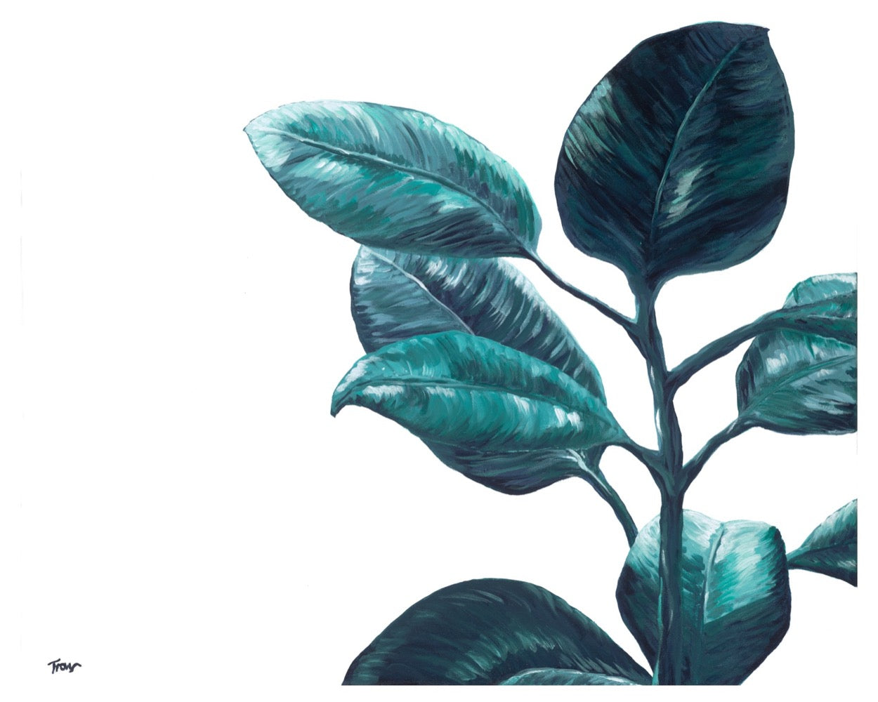 ‘Philodendron’ Art Print